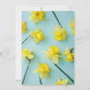 Search for daffodil thank you cards Narcissus