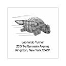 Search for turtle rubber stamps Modern