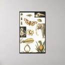 Search for insect canvas prints Cream