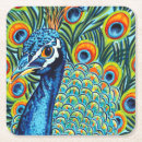 Search for peacock coasters Feather