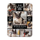 Search for pet memorial magnets Photo collage