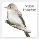 Search for willow square stickers Nature