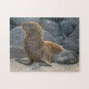 Search for galapagos puzzles Danita delimont