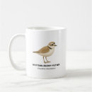 Search for plover mugs Endangered