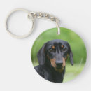 Search for dachshund pictures key rings Zwergteckel