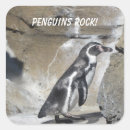 Search for cool penguin stickers Birds