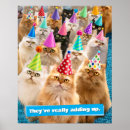 Search for cat hat posters Funny