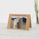 Search for animal wedding anniversary cards Funny