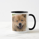 Search for square head mugs Looking at camera