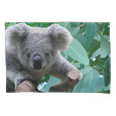 Search for koala pillowcases Australian animals