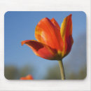 Search for stem mouse mats Vertical