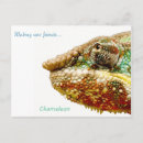 Search for green lizard postcards Wild