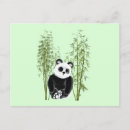 Search for cute panda postcards Black and white