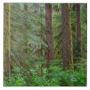 Search for scenic tiles Pacific northwest