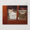 Search for droppings postcards Funny
