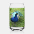 Search for peacock beer glasses Plumage