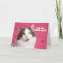 Search for funny cat valentines day cards Kitty