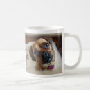 Search for stella mugs Pet