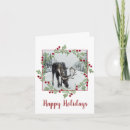 Search for moose cards Winter