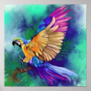 Search for colourful parrot posters Tropical