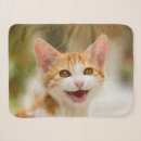 Search for meow meow blankets Kitten