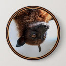 Search for flying badges Adorable