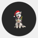 Search for funny husky stickers Weimaraner