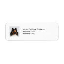 Search for sheltie labels Blue