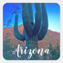 Search for arizona cactus stickers Tucson