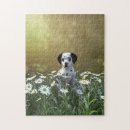 Search for dalmatian puzzles Cute