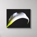 Search for white lily canvas prints Plant