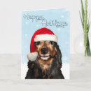Search for long christmas cards Doxie