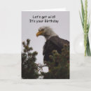 Search for bald eagle birthday cards Wild