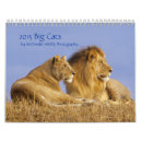 Search for big calendars Cat