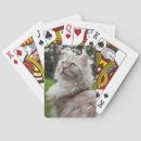 Search for chocolate playing cards Animal