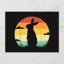 Search for rabbit lover postcards Vintage
