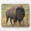 Search for range mouse mats Nature