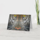 Search for animals big eyes cards Tiger