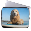 Search for paddle cases Sea