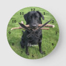 Search for black lab clocks Pet