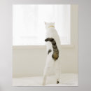 Search for rear view posters Vertical
