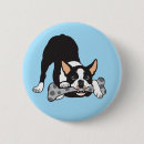 Search for boston terrier badges Pet