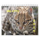 Search for big calendars Cat