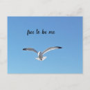 Search for bird flight postcards Seagull