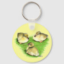 Search for ducklings key rings Bird