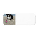 Search for sheepdogs return address labels Cute dog