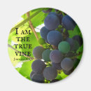 Search for grapevine magnets Fruit