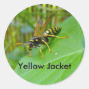 Search for yellow jackets stickers Bee