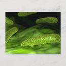 Search for 3 dimensional postcards Green