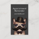 Search for pet grooming appointment cards Modern